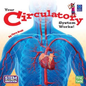 First Facts - Your Circulatory System Works!