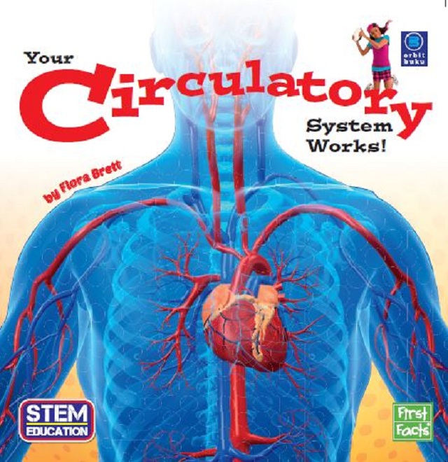 Your Circulotary System 1