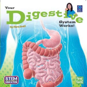 First Facts - Your Digestive System Works!