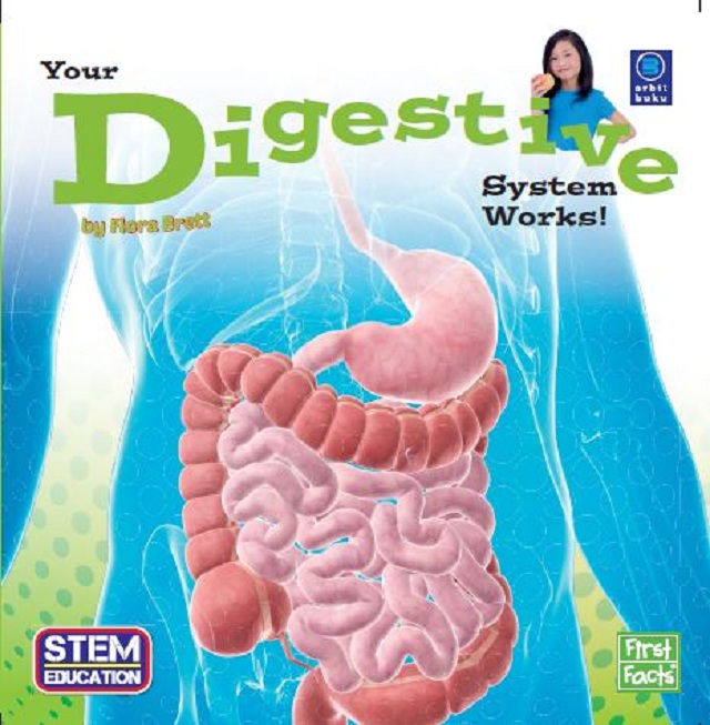 Your Digestive System 1