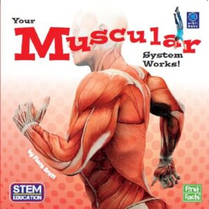 First Facts - Your Muscular System Works!