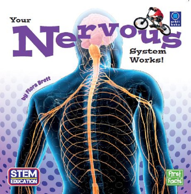 Your Nervous System 1