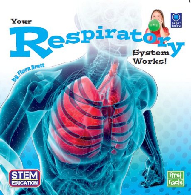 Your Respiratory System 1