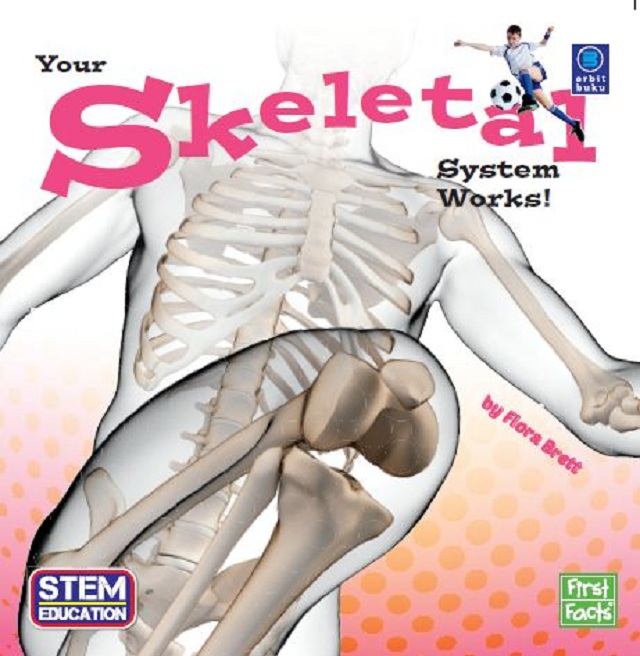 Your Skeletal System 1