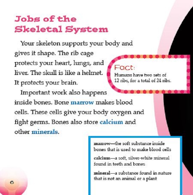 Your Skeletal System 3